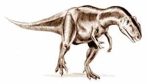 Allosaurus BW