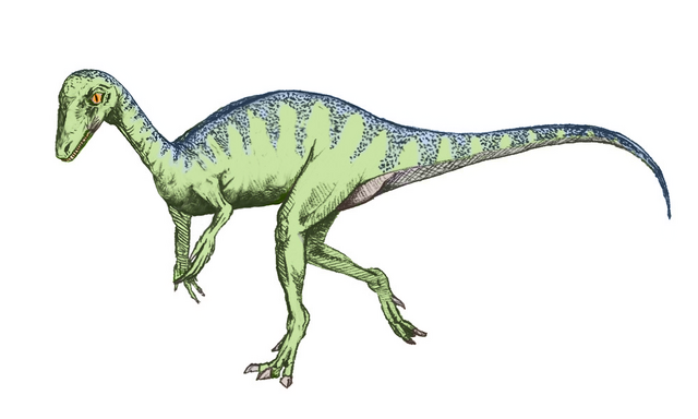 File:Eopraptor sketch5.png