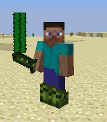 Cactus Boots ss