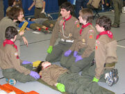 IMG 0239-M