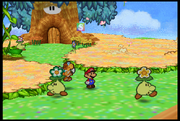 Flowerfields