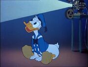 621px-Icerathreecaballeros0675.jpg