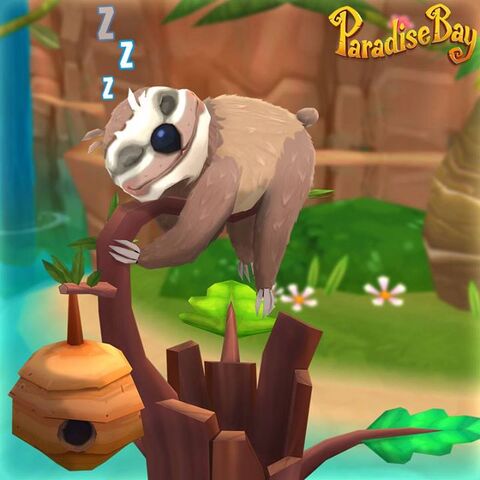 File:SleepingSloth.jpg