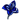 SapphireFlower
