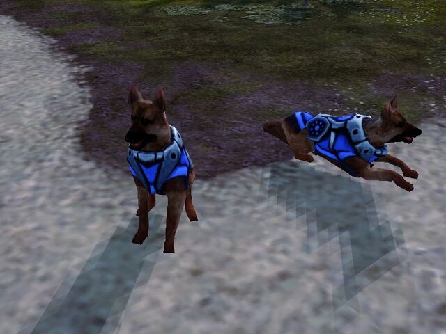 File:AlliedAttackDogInGame.jpg