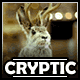 Jackalope