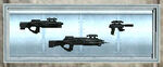 Gun Rack 2