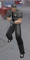 PrivateSecurityCaptain1