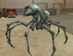 TarantulaMistress1
