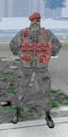 AxisAmericaOberst1