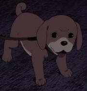 Maromi | Paranoia Agent Wiki | FANDOM powered by Wikia