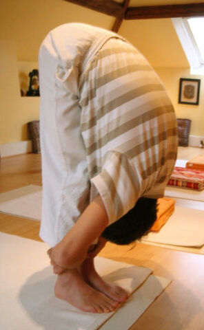 Tiedosto:Uttanasana.jpg