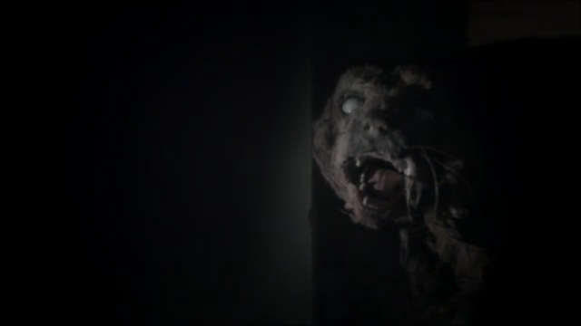 File:Dead Cat.png