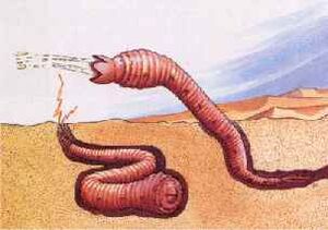 Mongolian-death-worm