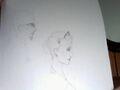 Thumbnail for version as of 23:27, September 27, 2011