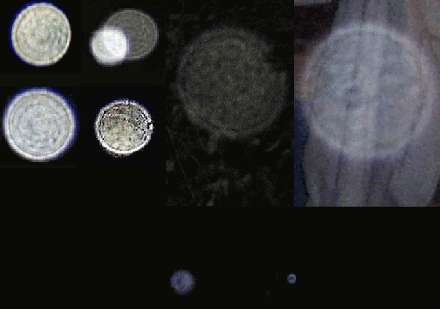 File:Orb diffraction.gif