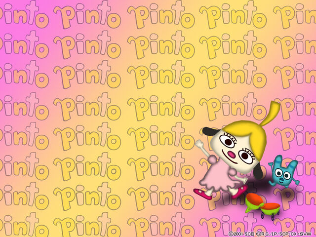 File:Pinto wallpaper 800x600.jpg