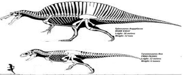Plik:Giant T.rex.jpg
