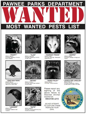 File:PawneeMostWantedPests.jpg