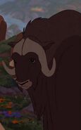 Muskox | The Parody Wiki | FANDOM powered by Wikia