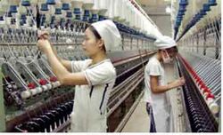 Sekowo-textile-industry