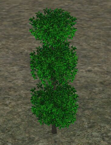 File:TopiaryPlant.jpg