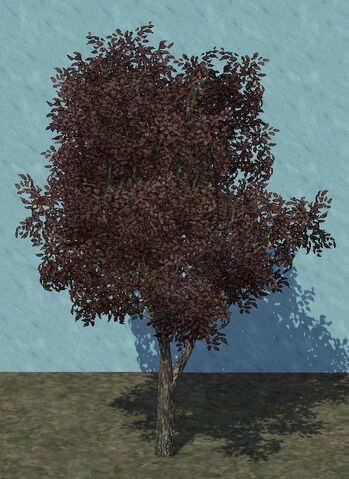 File:SmallPlumb.jpg