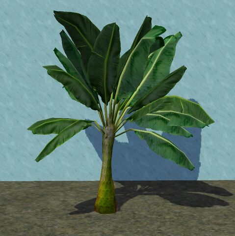 File:Banana.jpg