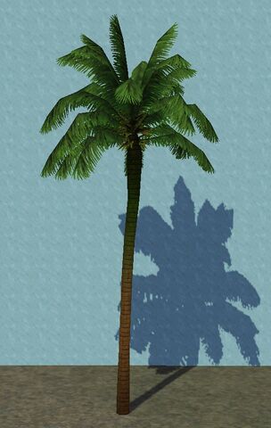 File:DarkPalm.jpg