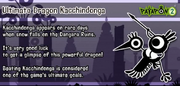 Kacchi info.png