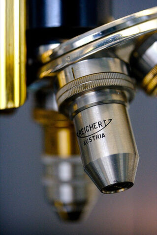 File:Microscope head.jpg.jpg