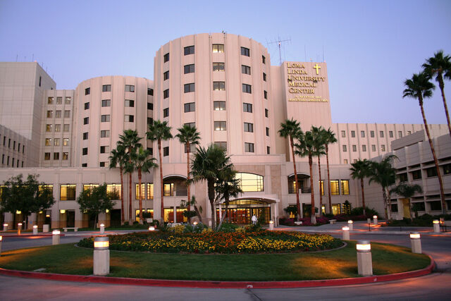 File:Llumc.jpg