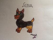 Cisco!