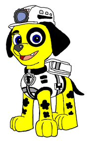 Teri