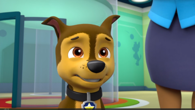 File:Pp2102.png