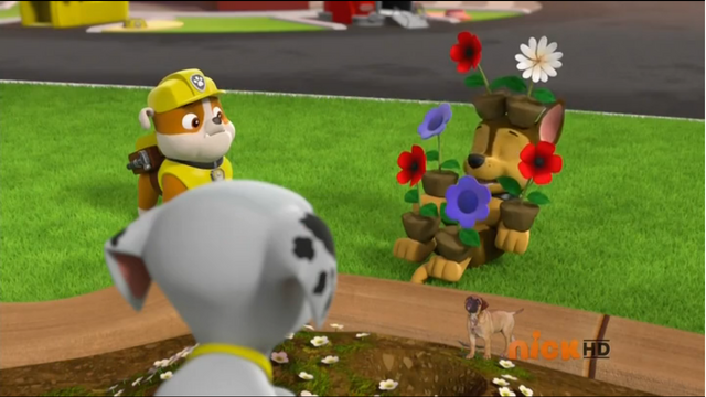 File:Chase and the flowers.png
