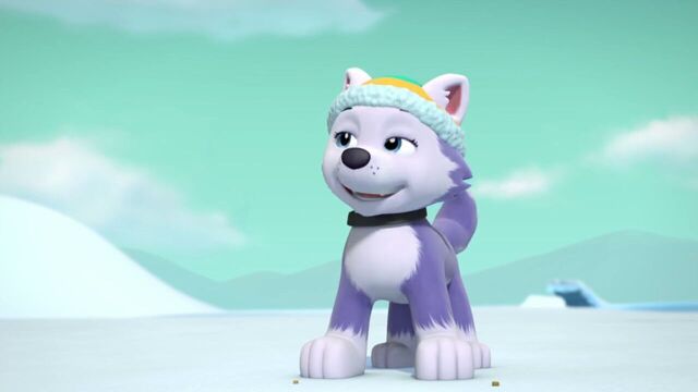 File:PAW.Patrol.S02E07.The.New.Pup.720p.WEBRip.x264.AAC 1219885.jpg