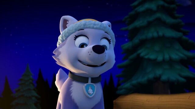 File:PAW.Patrol.S02E07.The.New.Pup.720p.WEBRip.x264.AAC 1317483.jpg