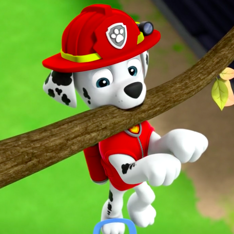 File:Screenshot 2017-04-29 17.41.06.png