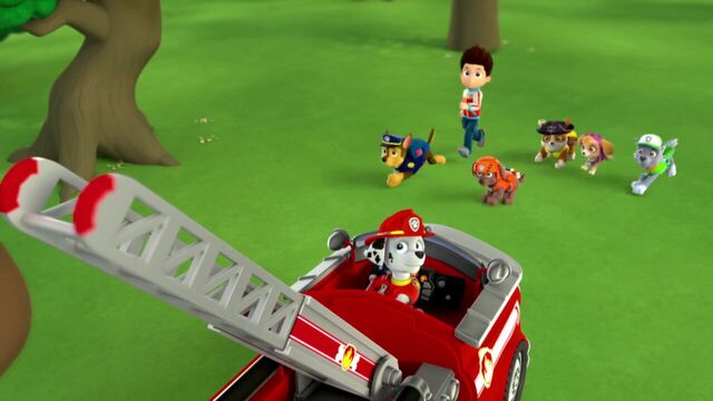 File:PAW.Patrol.S01E26.Pups.and.the.Pirate.Treasure.720p.WEBRip.x264.AAC 941574.jpg