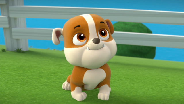 File:Pp649.png