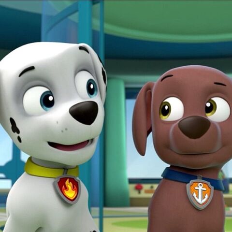 File:Marshall and Zuma.jpg
