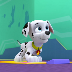 Marshall/Gallery/Pup a Doodle Do | PAW Patrol Wiki | Fandom powered by ...