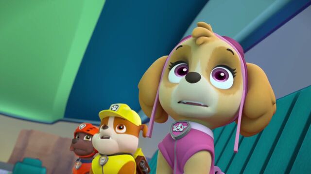 File:PAW.Patrol.S02E07.The.New.Pup.720p.WEBRip.x264.AAC 270871.jpg