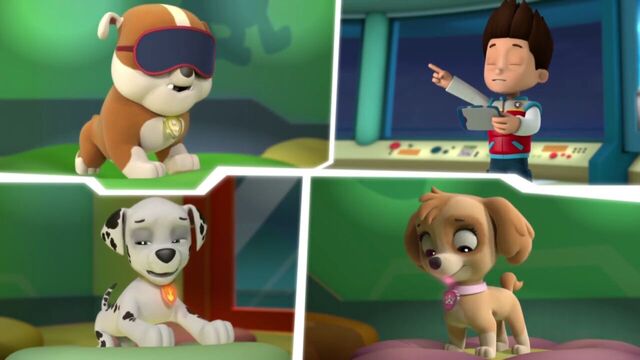 File:PAW.Patrol.S01E16.Pups.Save.Christmas.720p.WEBRip.x264.AAC 425392.jpg