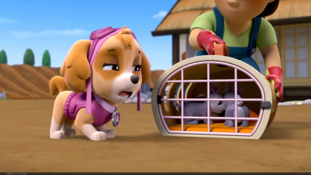 File:Pp146.png