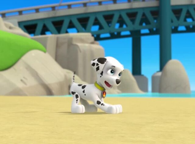 File:Here i'm come.!!.jpg
