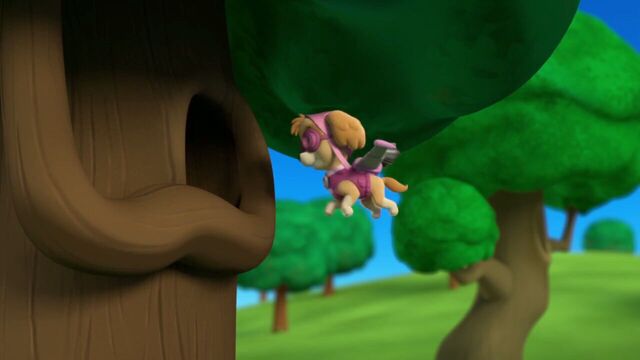 File:PAW.Patrol.S01E26.Pups.and.the.Pirate.Treasure.720p.WEBRip.x264.AAC 899632.jpg