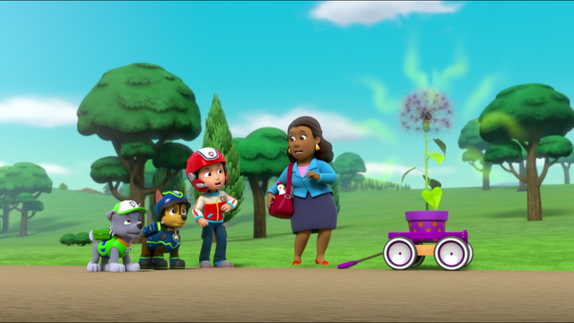 File:Screenshot 2017-01-11-19-48-17.png