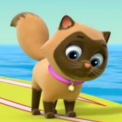 File:Unnamed Brown Cat.png